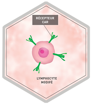 Infographie Thérapie Cellulaire
