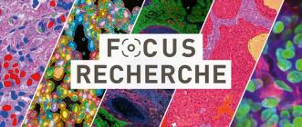 bannière titre research focus