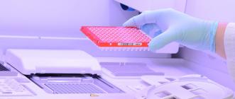 Image d'illustration