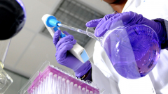 Illstration recherche 