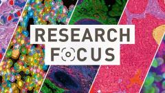 bannière title research focus