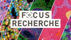 bannière titre research focus